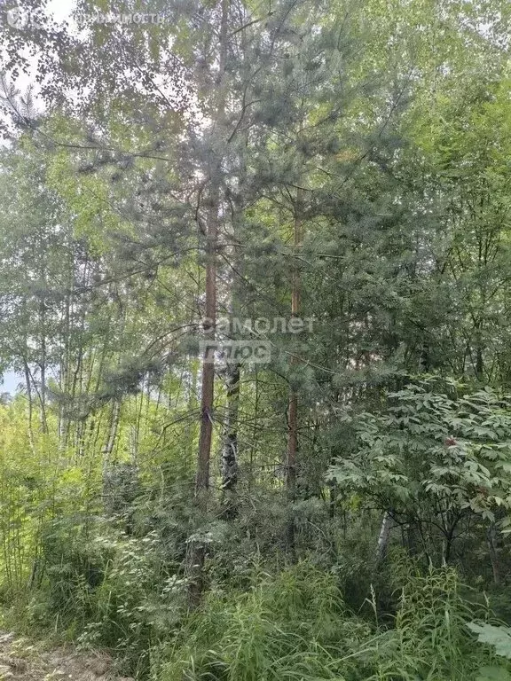 Участок в Московская область, городской округ Щёлково, территория ... - Фото 2
