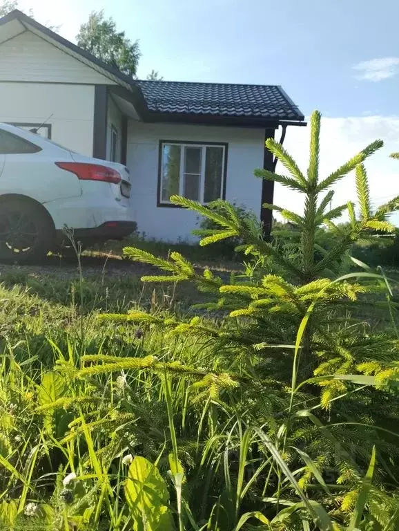 Дом в Ленинградская область, Новая Ладога Волховский район, Креницы ... - Фото 1