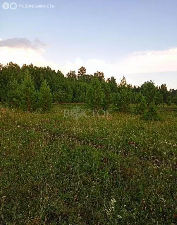 Участок в Шуваевский сельсовет, село Совхоз Сибиряк (9 м) - Фото 0