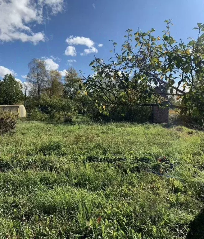 Участок в Новгородская область, Новгородский район, Панковское ... - Фото 1