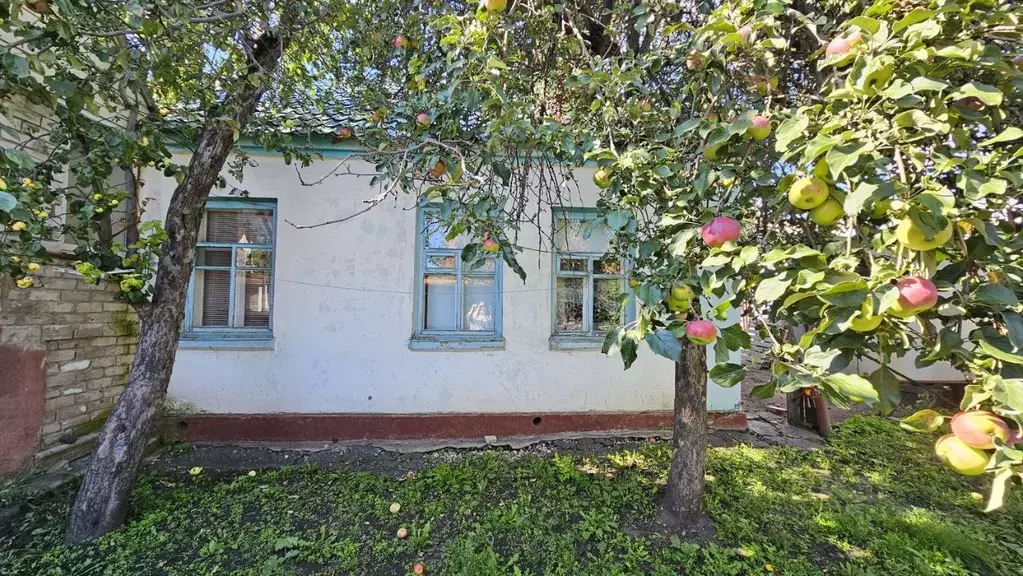Дом в Воронежская область, Воронеж пер. 30-летия Октября (39 м) - Фото 0