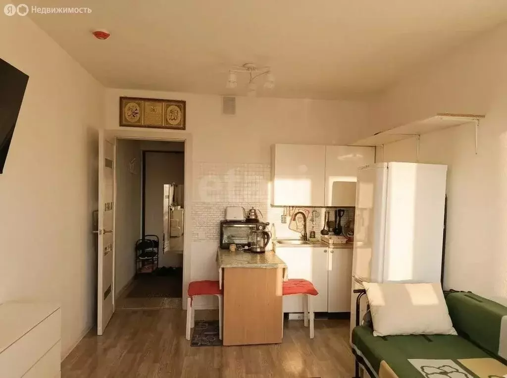 Квартира-студия: Санкт-Петербург, Муринская дорога, 25к3 (21.7 м) - Фото 2