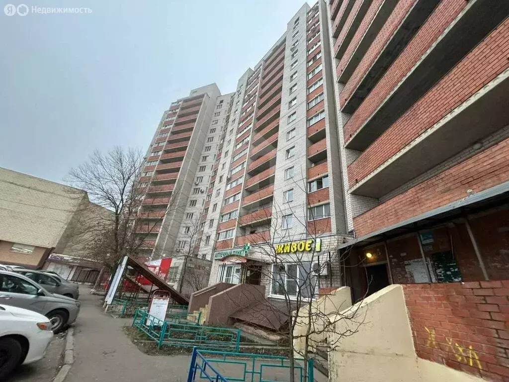 Помещение свободного назначения (61.2 м) - Фото 2