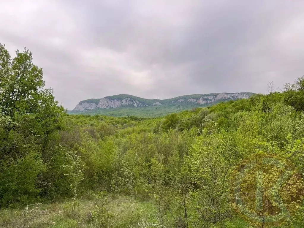 Участок в Крым, Бахчисарайский район, Голубинское с/пос, с. Соколиное  ... - Фото 1