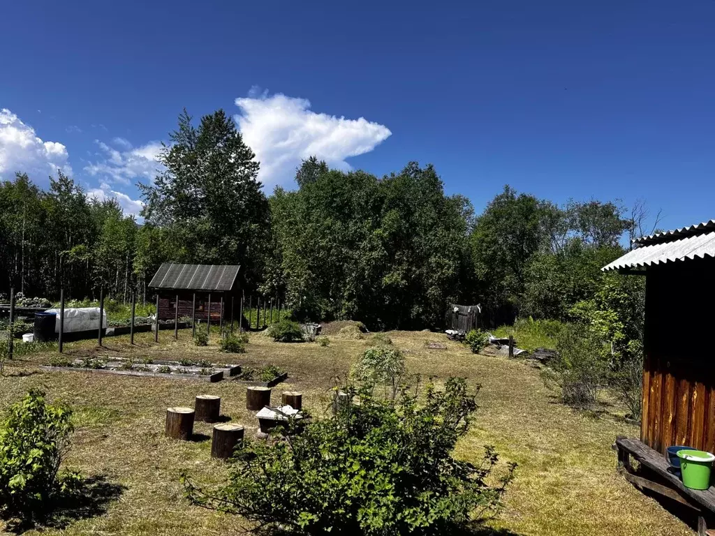 Участок в Иркутская область, Байкальск г. Слюдянский район, ... - Фото 1