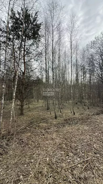 Участок в Калужская область, Малоярославецкий район, Березовка с/пос, ... - Фото 0