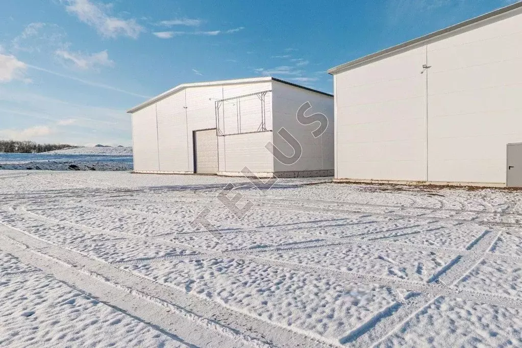 Склад в Московская область, Домодедово городской округ, д. Кучино 101 ... - Фото 1