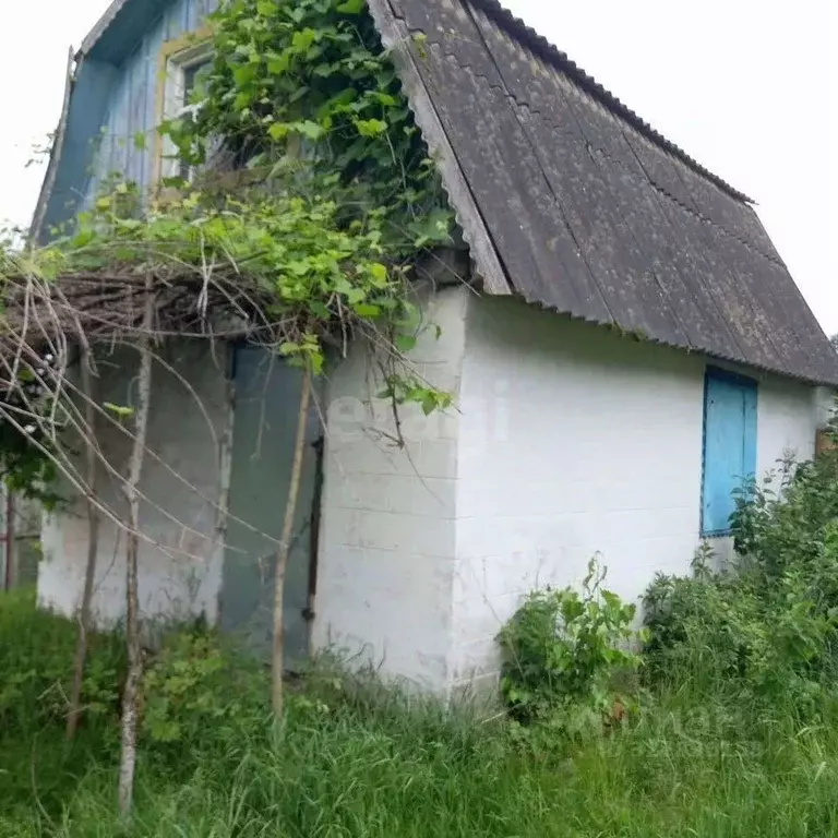 Дом в Брянская область, Дятьковский район, Любохна рп ул. Брянская (30 ... - Фото 2