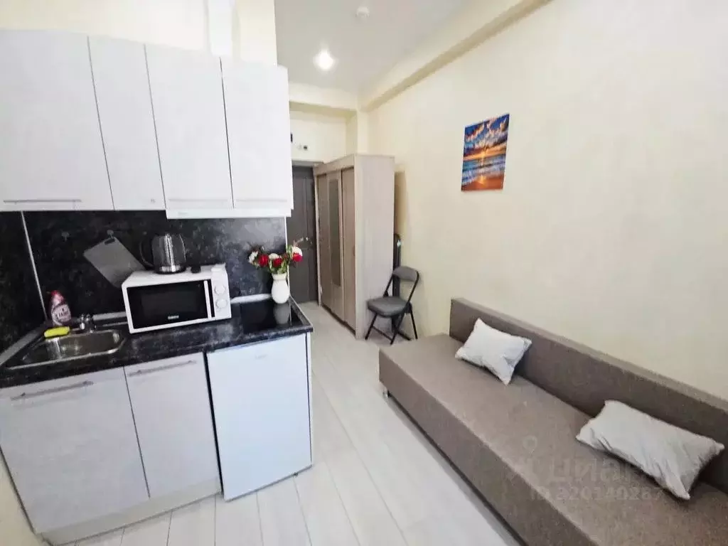 1-к кв. Краснодарский край, Сочи ул. Чекменева, 18 (14.0 м) - Фото 0