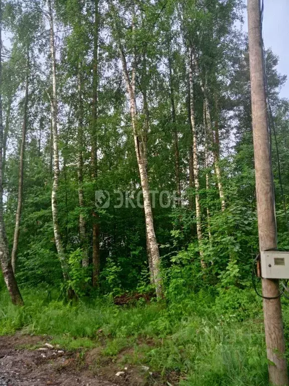 Участок, 14 сот., сельхоз (снт или днп) - Фото 0