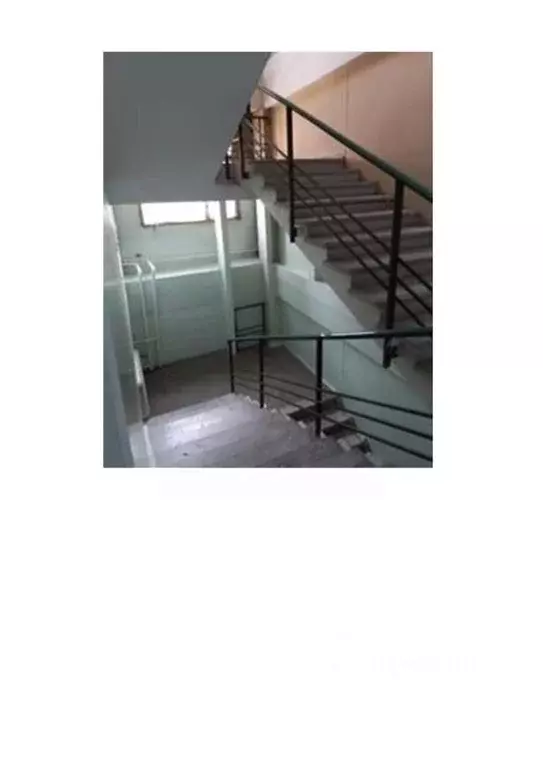 Помещение свободного назначения в Новосибирская область, Новосибирский ... - Фото 1