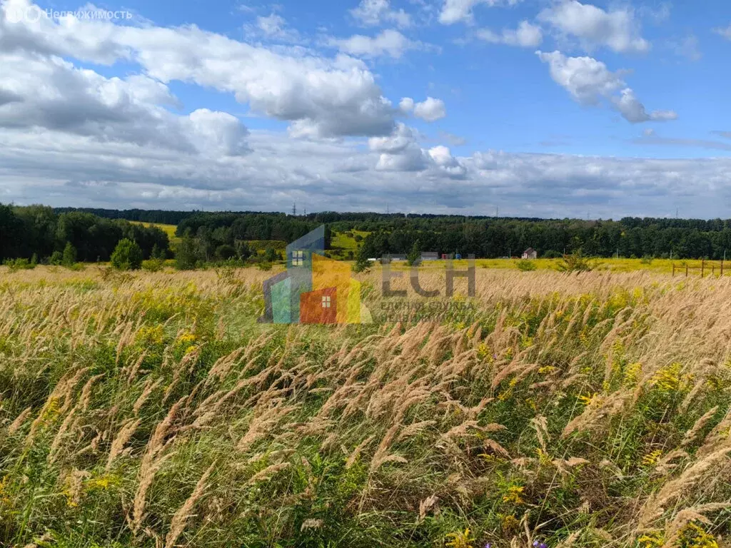 Участок в Тульская область, городской округ Тула, деревня Петелино (10 ... - Фото 1