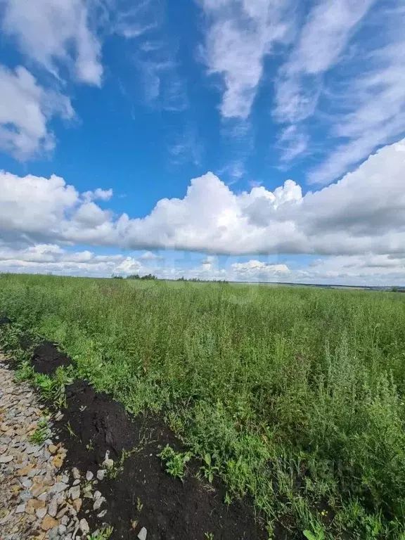Участок в Мордовия, Лямбирский район, Берсеневское с/пос, Альтерра кп  ... - Фото 2