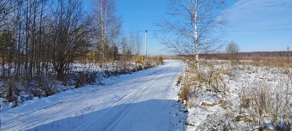 Участок в Владимирская область, Судогодский район, Головинское ... - Фото 0