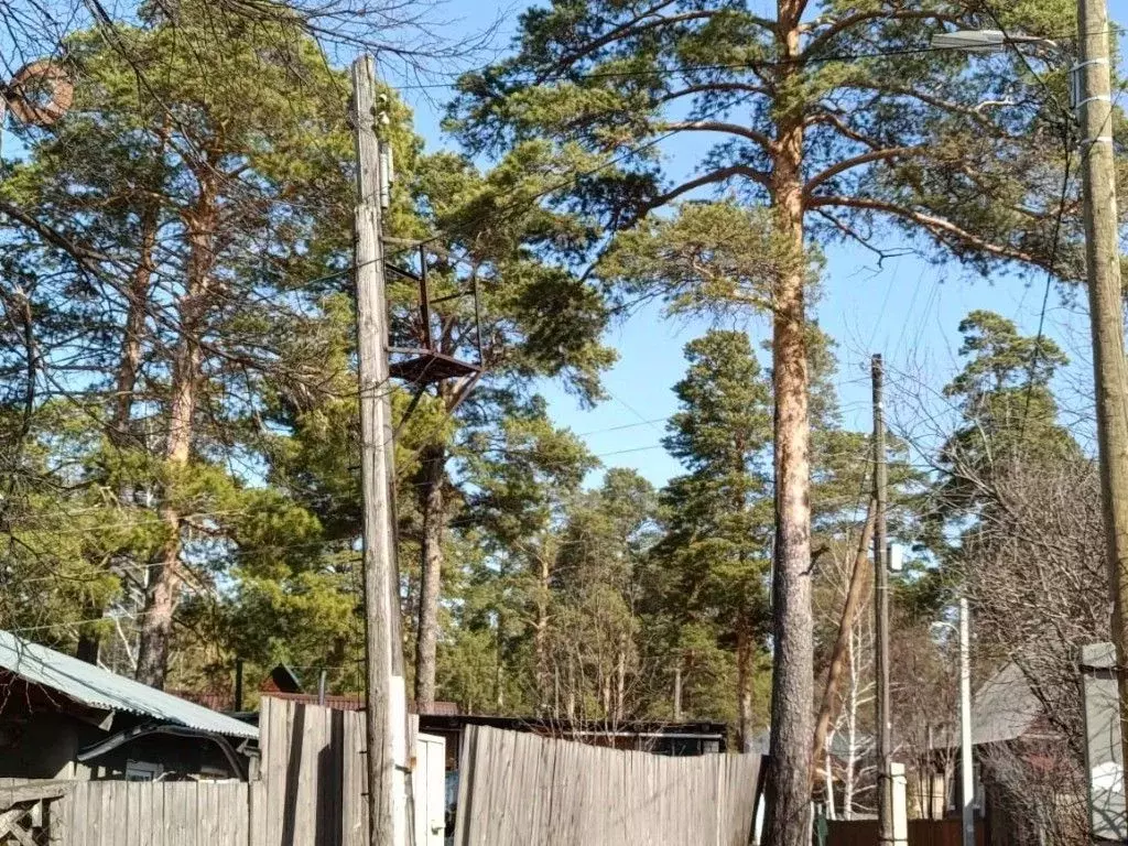 Дом в Алтайский край, Барнаул городской округ, Поселок Борзовая заимка ... - Фото 1