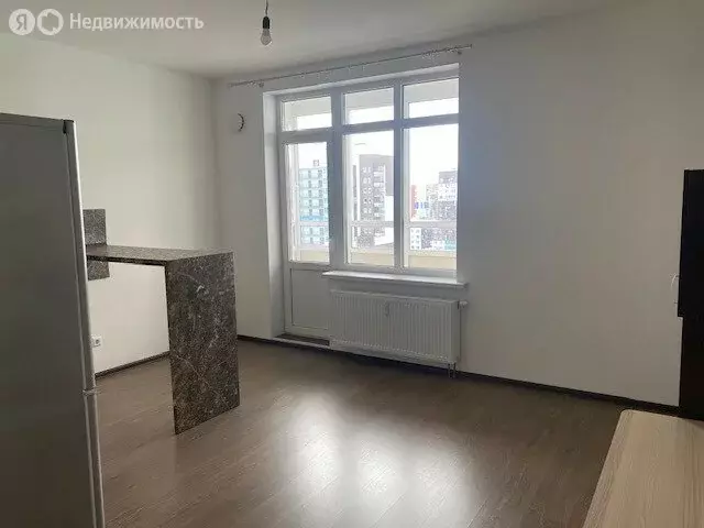 Квартира-студия: Санкт-Петербург, Арцеуловская аллея, 23к1 (25.5 м) - Фото 1