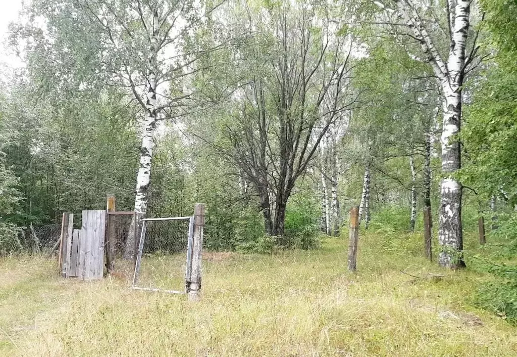 Участок в Чувашия, Чебоксарский муниципальный округ, д. Шайгильдино  ... - Фото 1