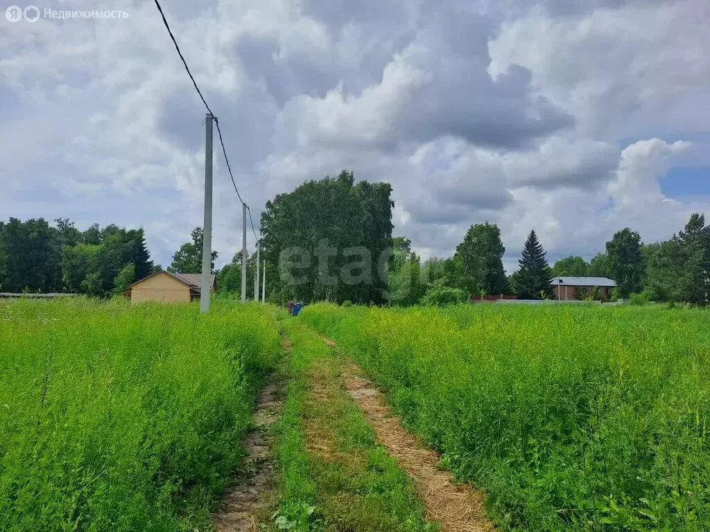 Участок в Новосибирск, СНТ Приморье (4 м) - Фото 1