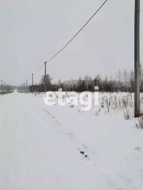 Участок в Тюменская область, Ишимский район, д. Орловка Центральная ... - Фото 1