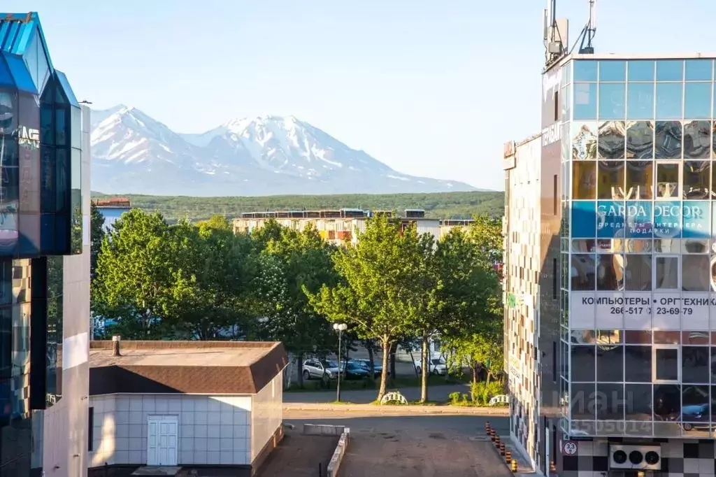 3-к кв. Камчатский край, Петропавловск-Камчатский просп. 50 лет ... - Фото 1