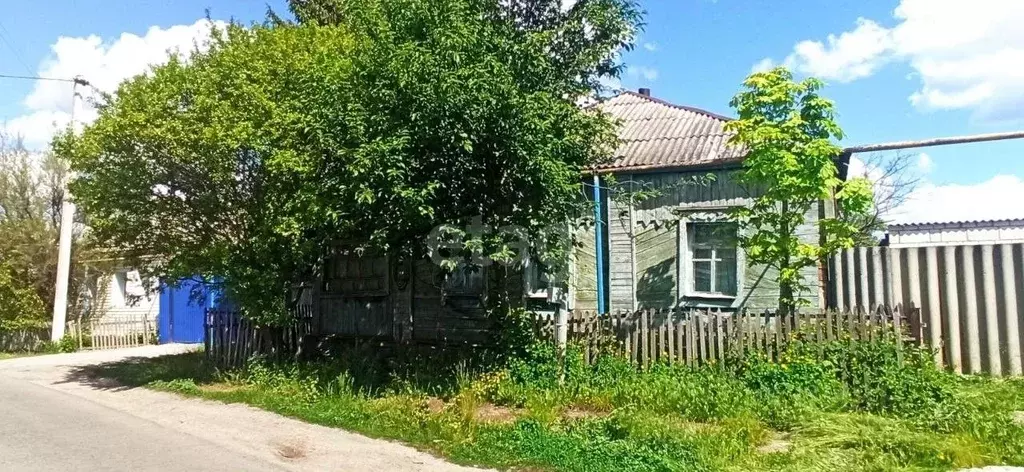 Дом в Белгородская область, Волоконовка рп ул. Гоголя (44 м) - Фото 0