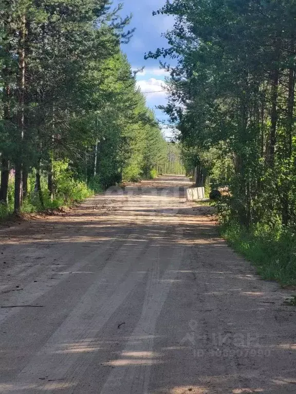 Участок в Коми, Сыктывкар городской округ, Верхняя Максаковка пгт ул. ... - Фото 1