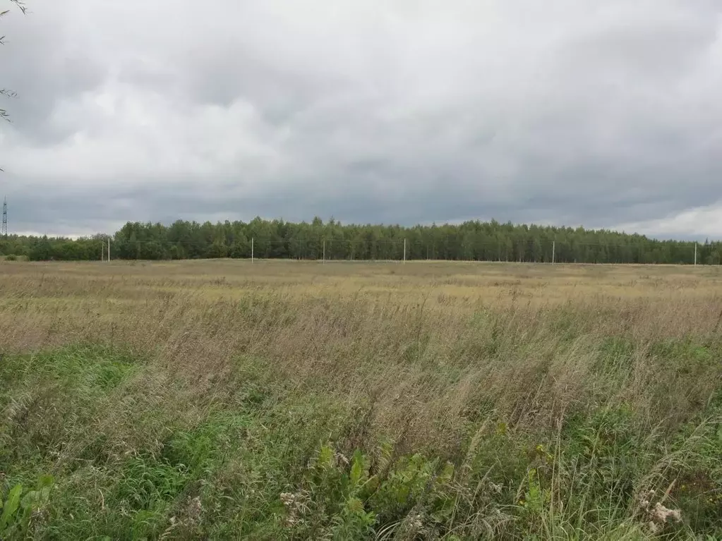 Погода сидорово раменского. Погода сидорово раменского. Деревня сидорово. Погода сидорово раменского. Валдайское озеро ивановская область.