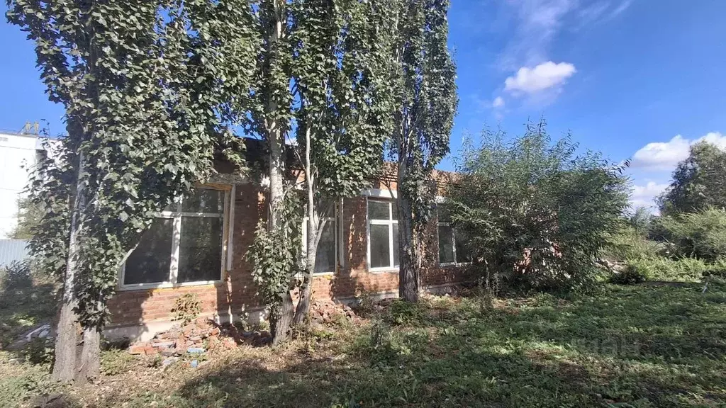 Помещение свободного назначения в Омская область, Марьяновка рп ул. ... - Фото 1