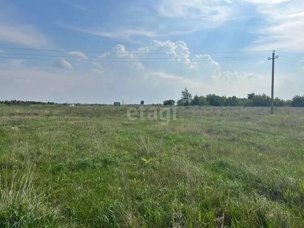 Участок в Челябинская область, Красноармейский район, пос. Луговой ул. ... - Фото 1