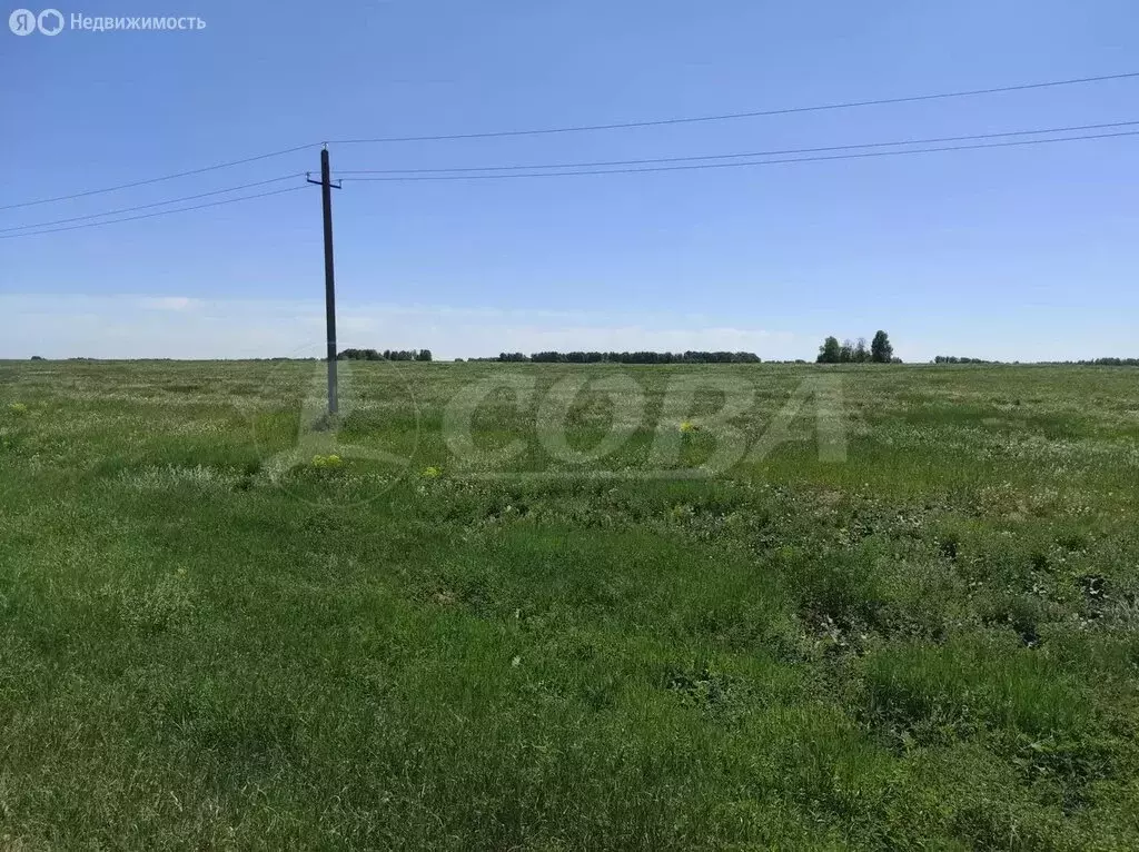 Участок в Тюменский муниципальный округ, деревня Криводанова, ... - Фото 0