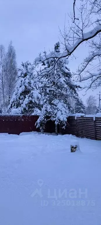 Дом в Ленинградская область, Всеволожск ул. Загородная, 11 (70 м) - Фото 2
