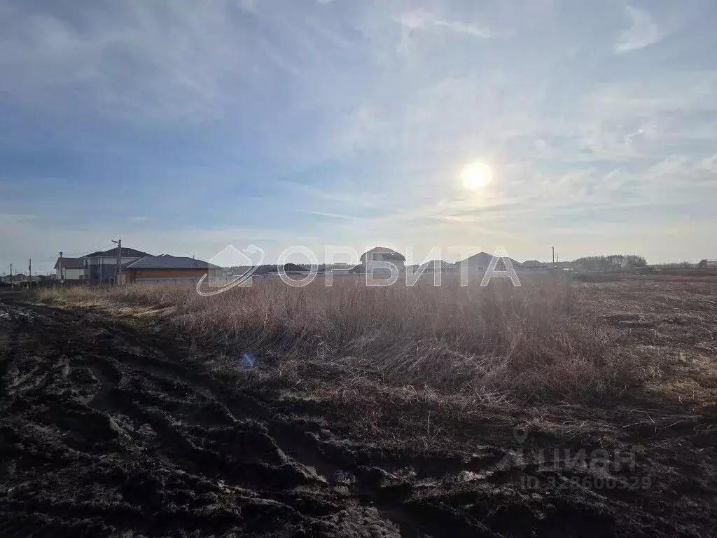 Участок в Тюменская область, Тюменский муниципальный округ, д. Ушакова ... - Фото 1