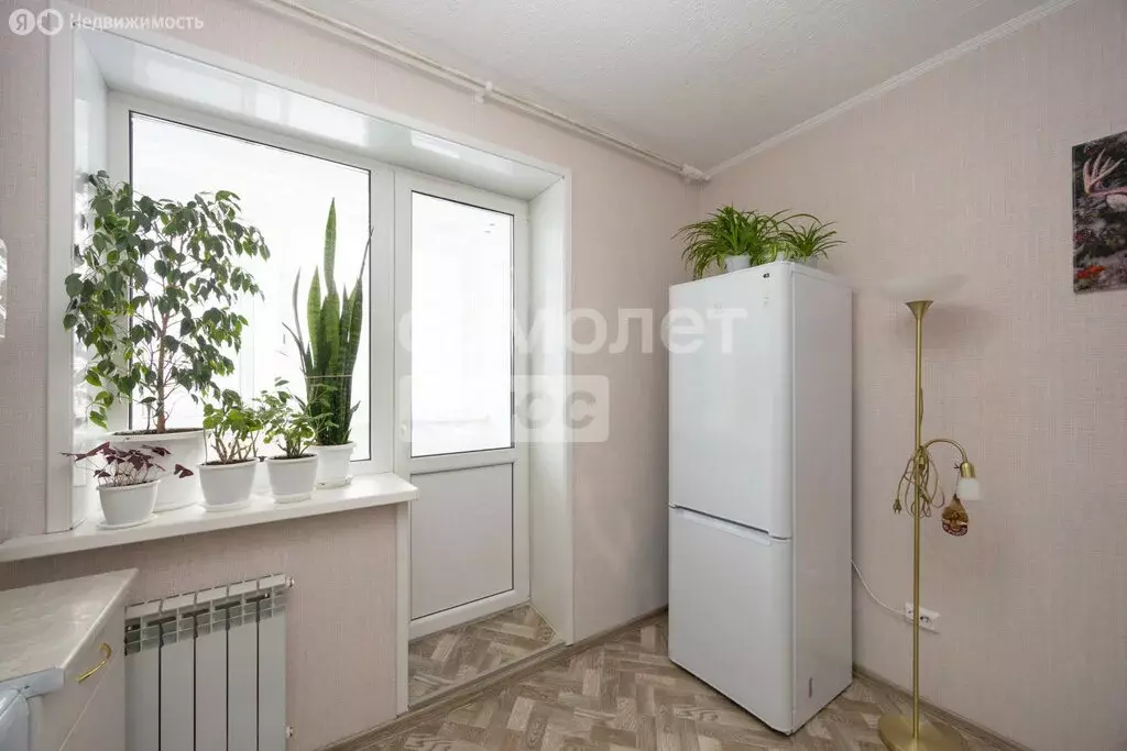 1-комнатная квартира: село Чигири, Октябрьская улица, 3 (24.2 м) - Фото 2