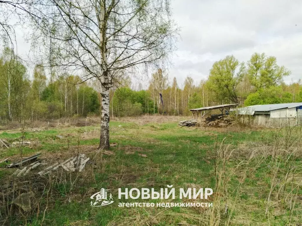 Участок в Нижегородская область, муниципальный округ Бор, деревня ... - Фото 0