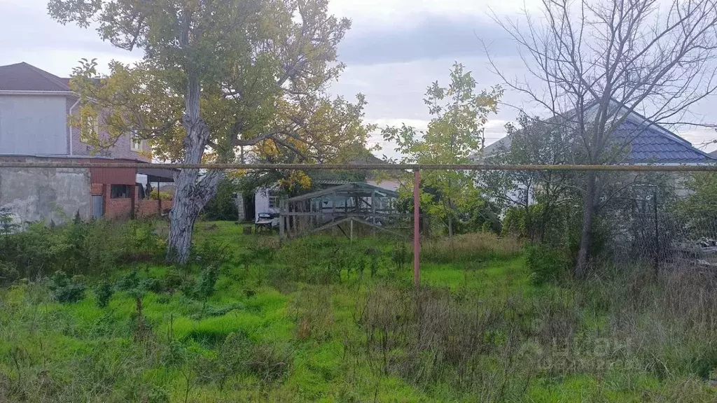 Участок в Краснодарский край, Анапа муниципальный округ, Заря хут. ул. ... - Фото 1