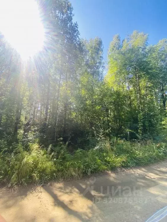 Участок в Иркутская область, Иркутск  (15.0 сот.) - Фото 2