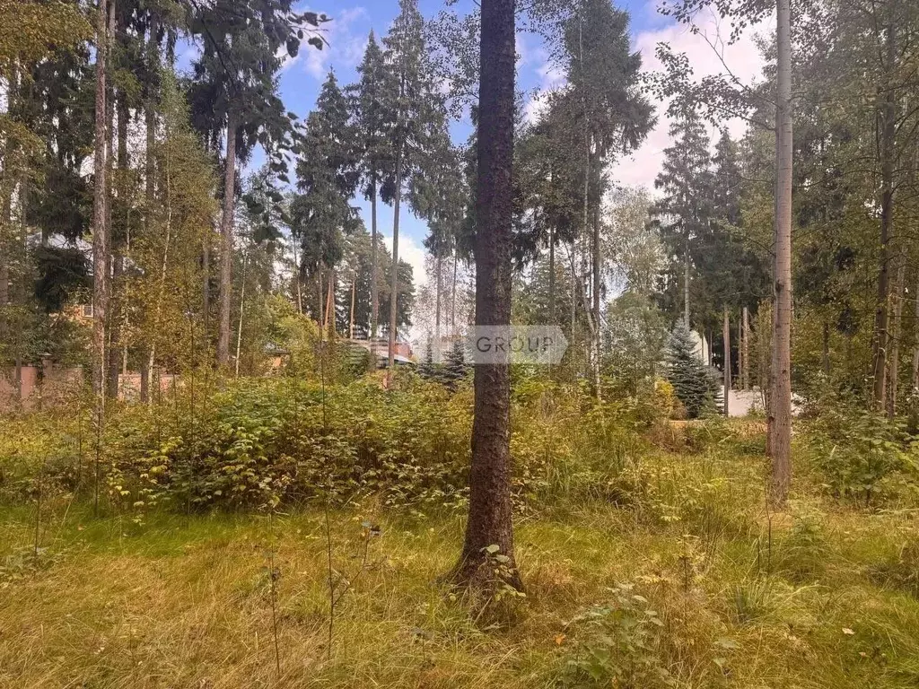 Участок в Московская область, Одинцовский городской округ, д. Бородки, ... - Фото 1