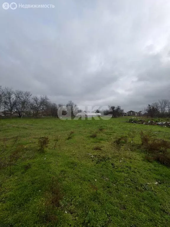 Участок в станица Платнировская, улица Кирова, 98 (5.6 м) - Фото 2