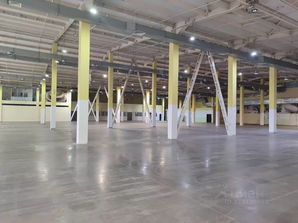 Помещение свободного назначения в Красноярский край, Красноярск ... - Фото 1