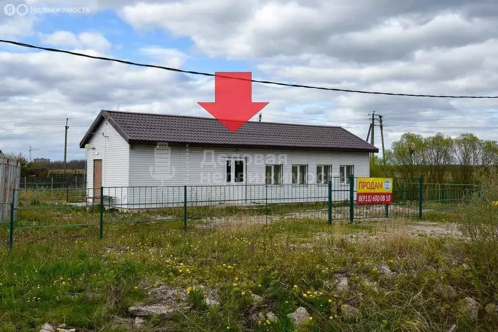 Помещение свободного назначения (65.9 м) - Фото 1