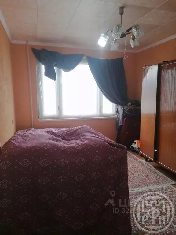 2-к кв. Ленинградская область, Лужский район, Заклинское с/пос, д. ... - Фото 2