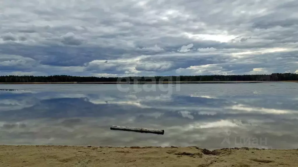 Участок в Нижегородская область, Навашинский муниципальный округ, с. ... - Фото 1