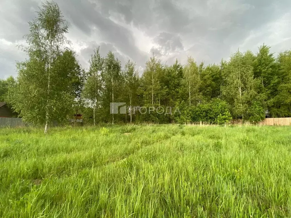 Участок в Московская область, Раменский муниципальный округ, 15 кв-л 4 ... - Фото 1