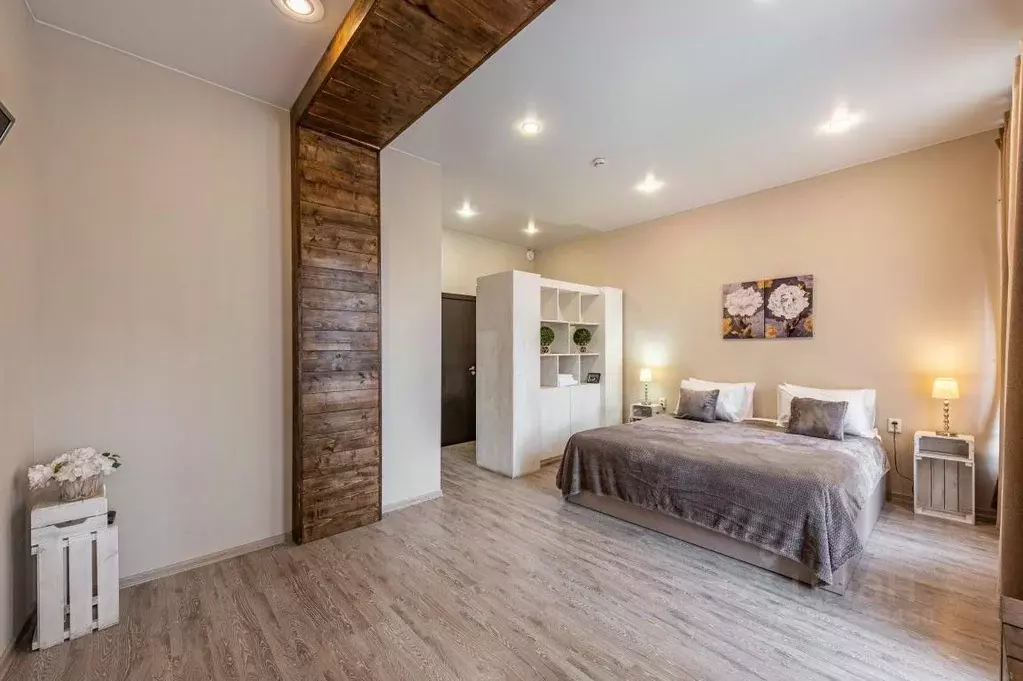 Комната Санкт-Петербург Владимирский просп., 17к1 (30.0 м) - Фото 2