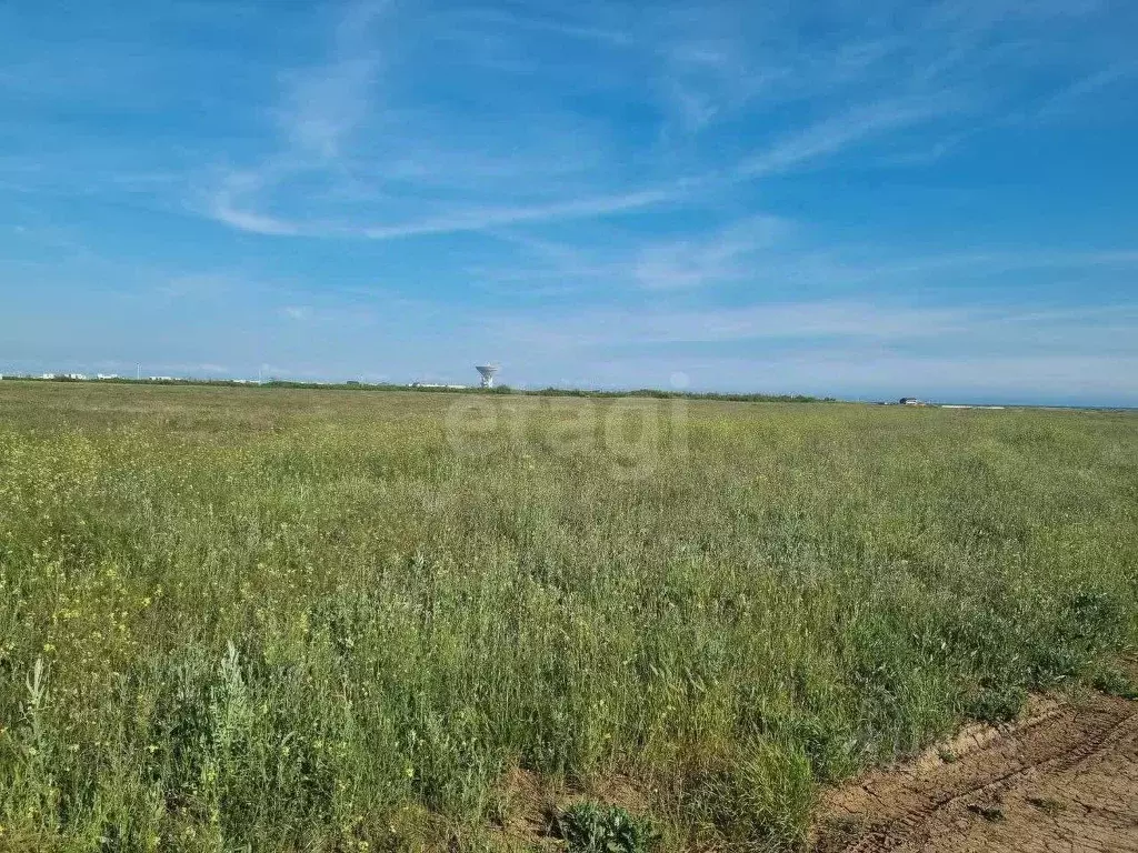 Участок в Крым, Сакский район, с. Молочное  (8.0 сот.) - Фото 0