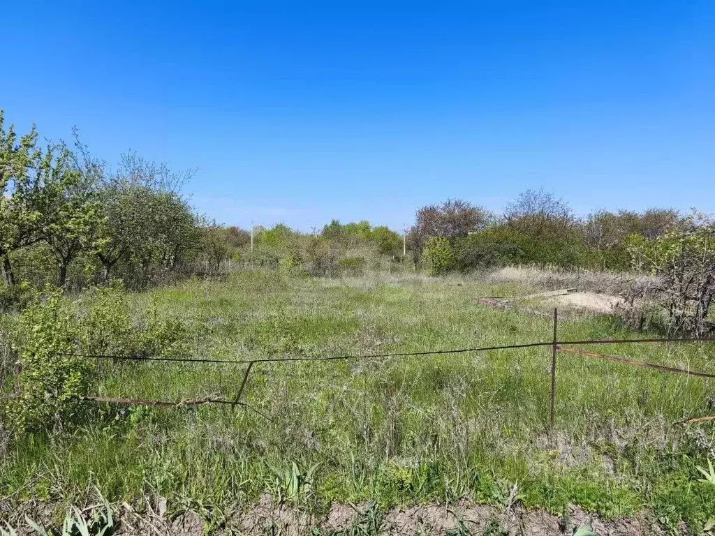 Участок в Белгородская область, Корочанский район, Мелиховское с/пос, ... - Фото 1