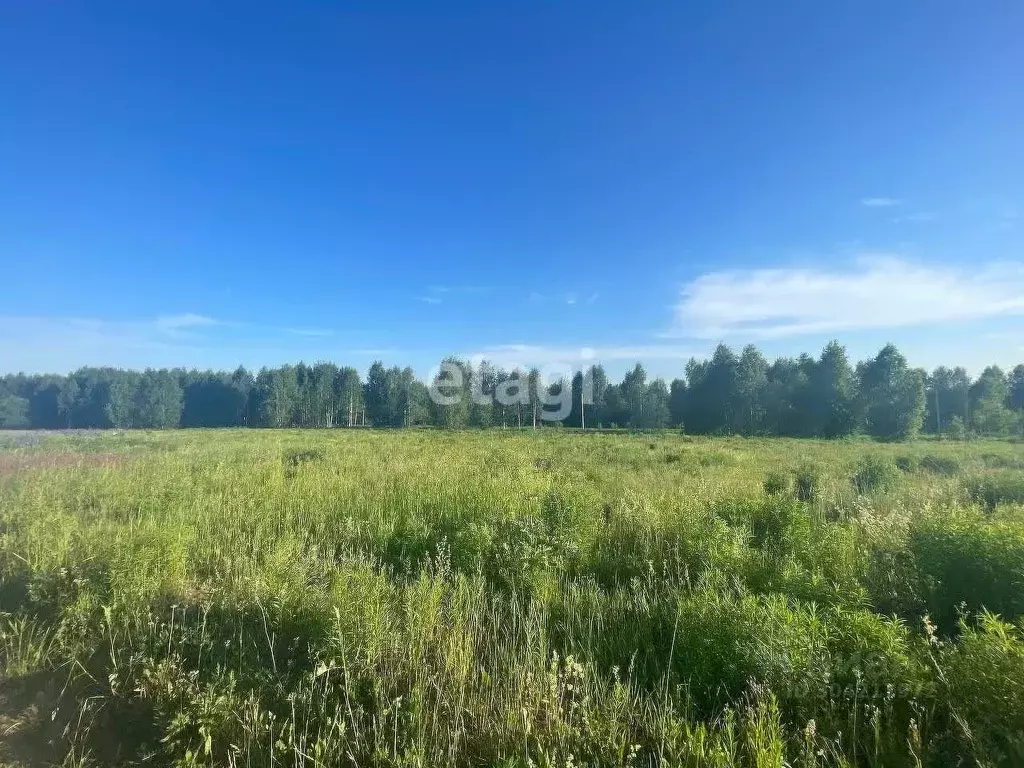 Участок в Удмуртия, Завьяловский район, д. Старые Кены  (7.0 сот.) - Фото 0