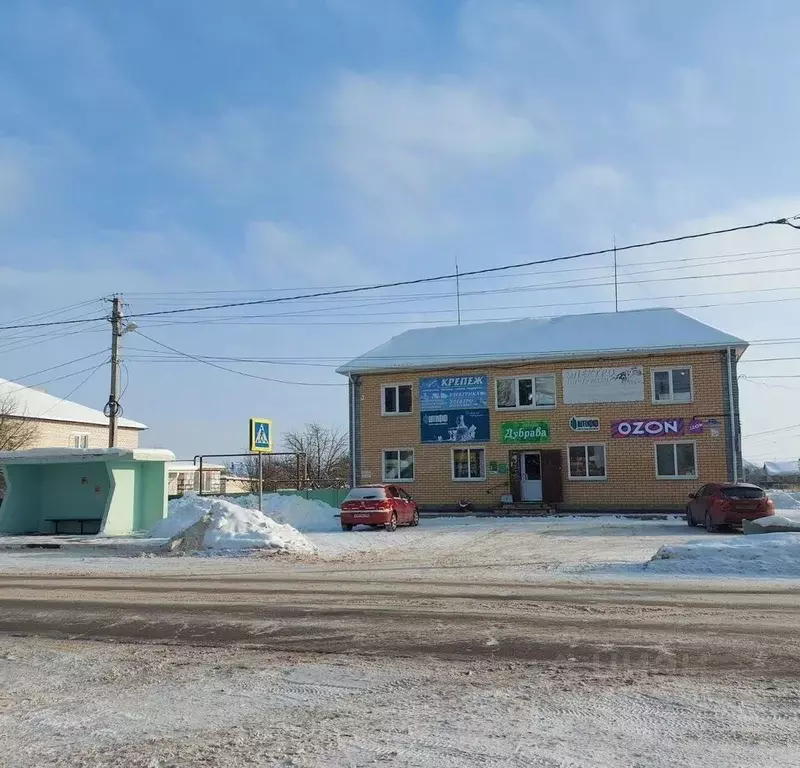 Помещение свободного назначения в Нижегородская область, с. Вад ул. ... - Фото 2