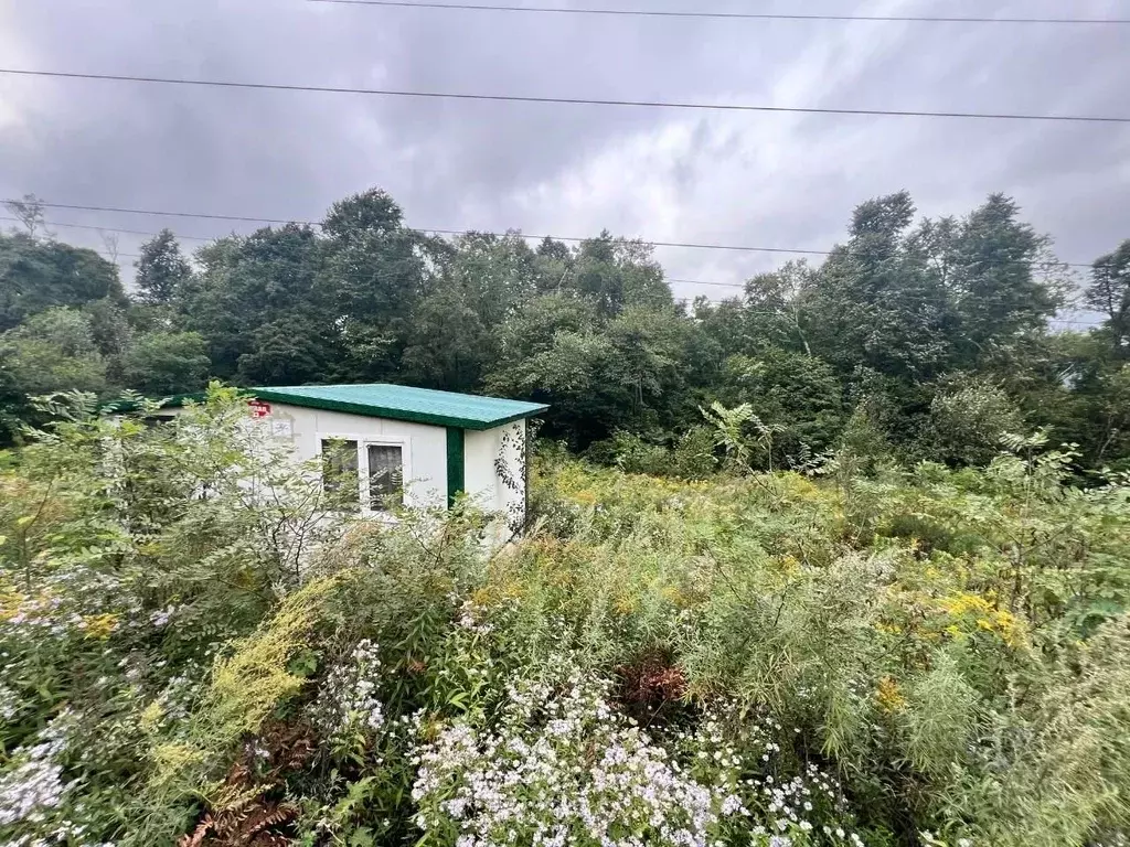 Участок в Приморский край, Владивосток ул. Ясная, 33 (14.0 сот.) - Фото 1