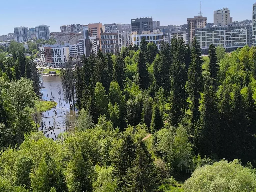 1-к кв. Удмуртия, Ижевск ул. Холмогорова, 113 (30.0 м) - Фото 2